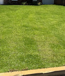 Hunter Front Yard After