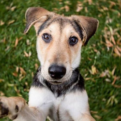 💕TAG a Friend that will ADOPT Mila 💕_�