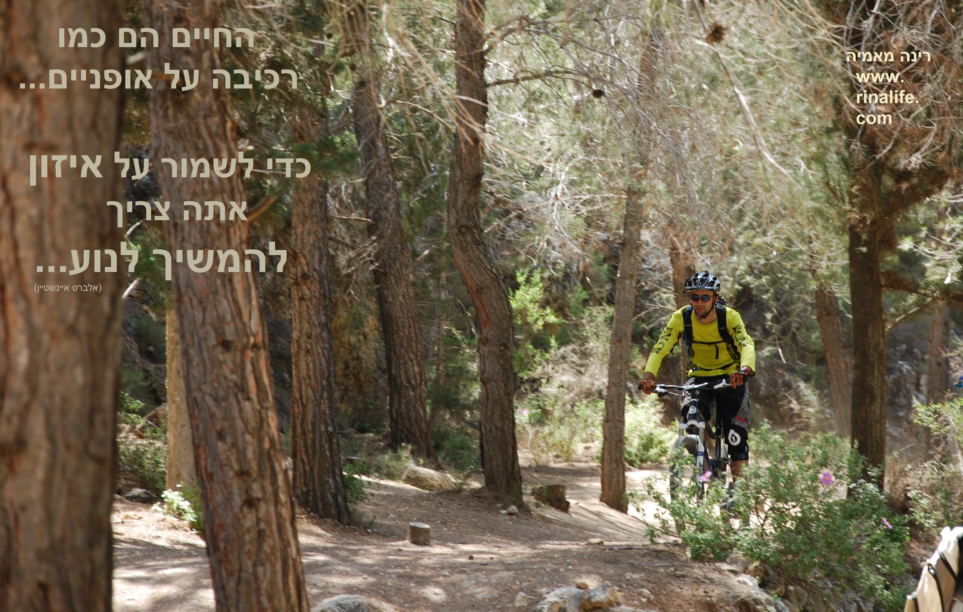 היום התחלתי