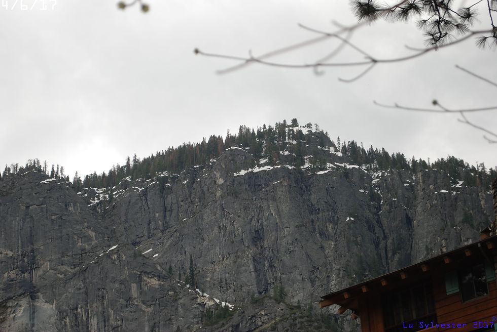 DSC_0047(IMG)