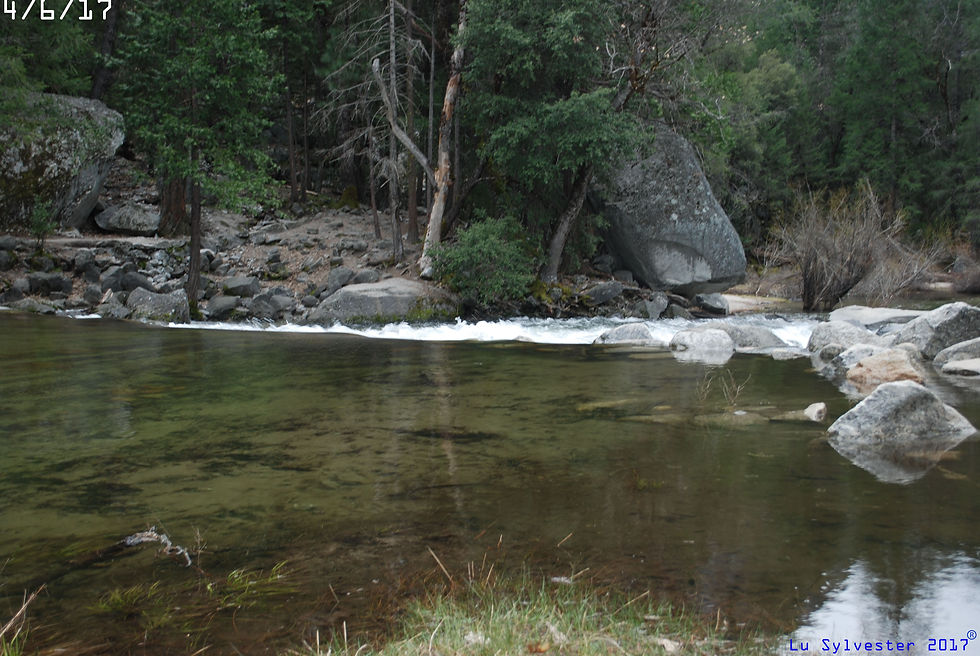 DSC_0017(IMG)