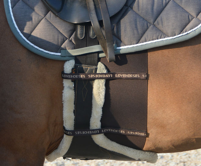 Fascia di Rispetto Deluxe LoveHorses