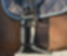 Fascia di Rispetto Deluxe LoveHorses