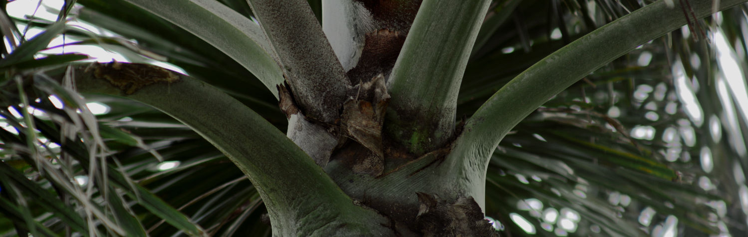 Screenshot 2026-02-05 at 3.38_edited.jpg