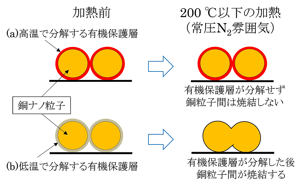 低温焼成可能な銅インクの開発 低温焼成可能な銅インクの開発