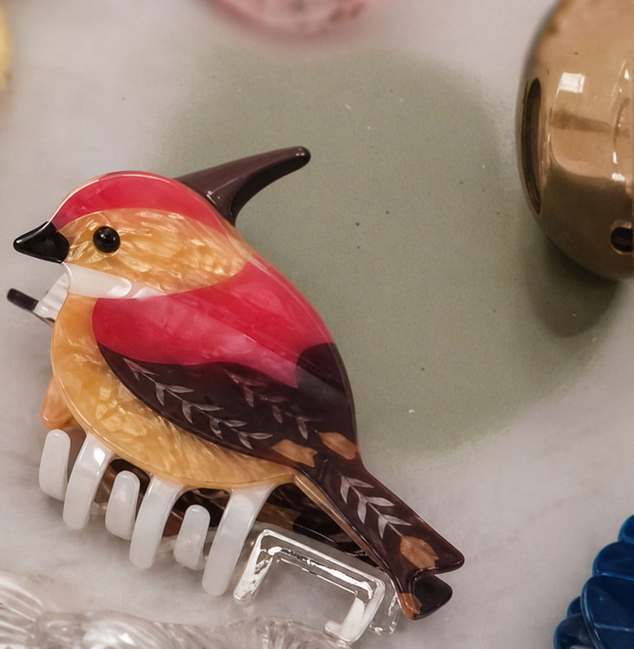 Pince Oiseaux