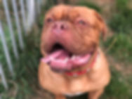 image1.jpeg