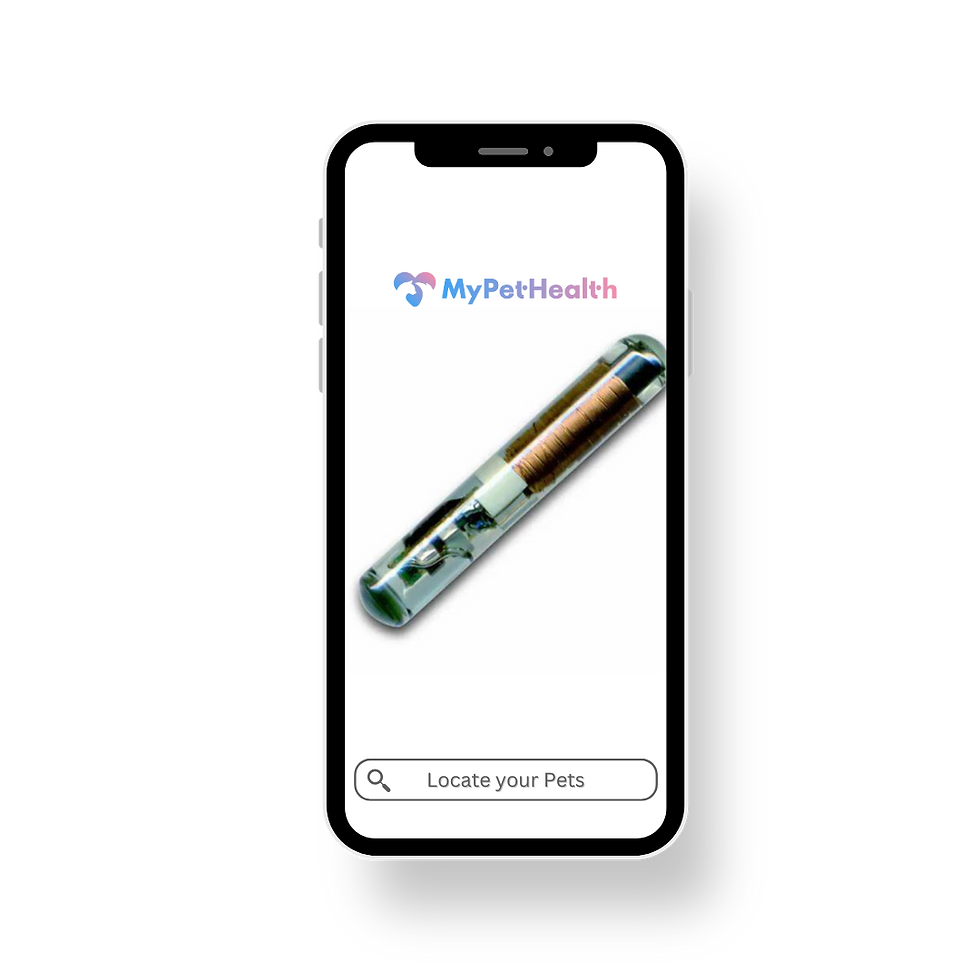 How can we help you (7).png