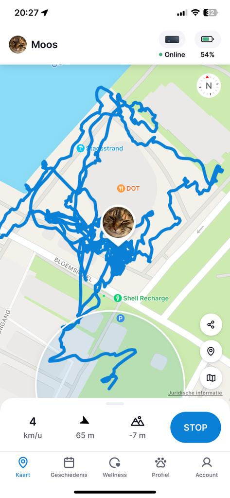 Kattenoppas Groningen