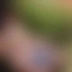 Southern Forests Food Council member Justin Crumplin holding blueberries in hands.