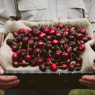 Red cherries