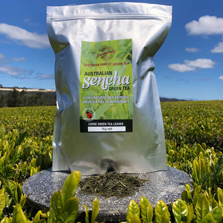 1kg of Sencha Green Tea