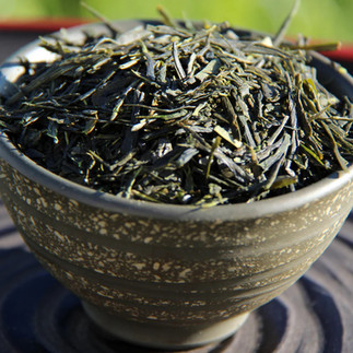 Southern Forest Green Tea