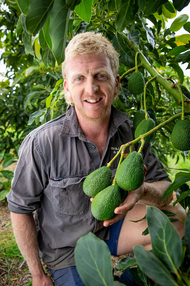 mat fox holding avocadoes