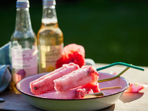 GENUINELY SOUTHERN FORESTS NEWLEAF APPLE & BERRY ICE POPS