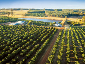 OMEGA WALNUTS: A FAMILY-OWNED BUSINESS CULTIVATING PREMIUM ORGANIC WALNUTS IN WESTERN AUSTRALIA