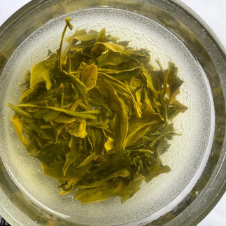 Green tea being steeped