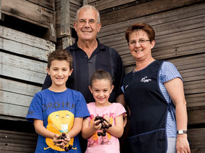 GENERATIONS OF GROWTH: THE GUADAGNINO FAMILY LEGACY IN MANJIMUP'S AGRICULTURAL TAPESTRY