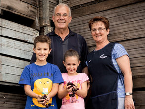 GENERATIONS OF GROWTH: THE GUADAGNINO FAMILY LEGACY IN MANJIMUP'S AGRICULTURAL TAPESTRY