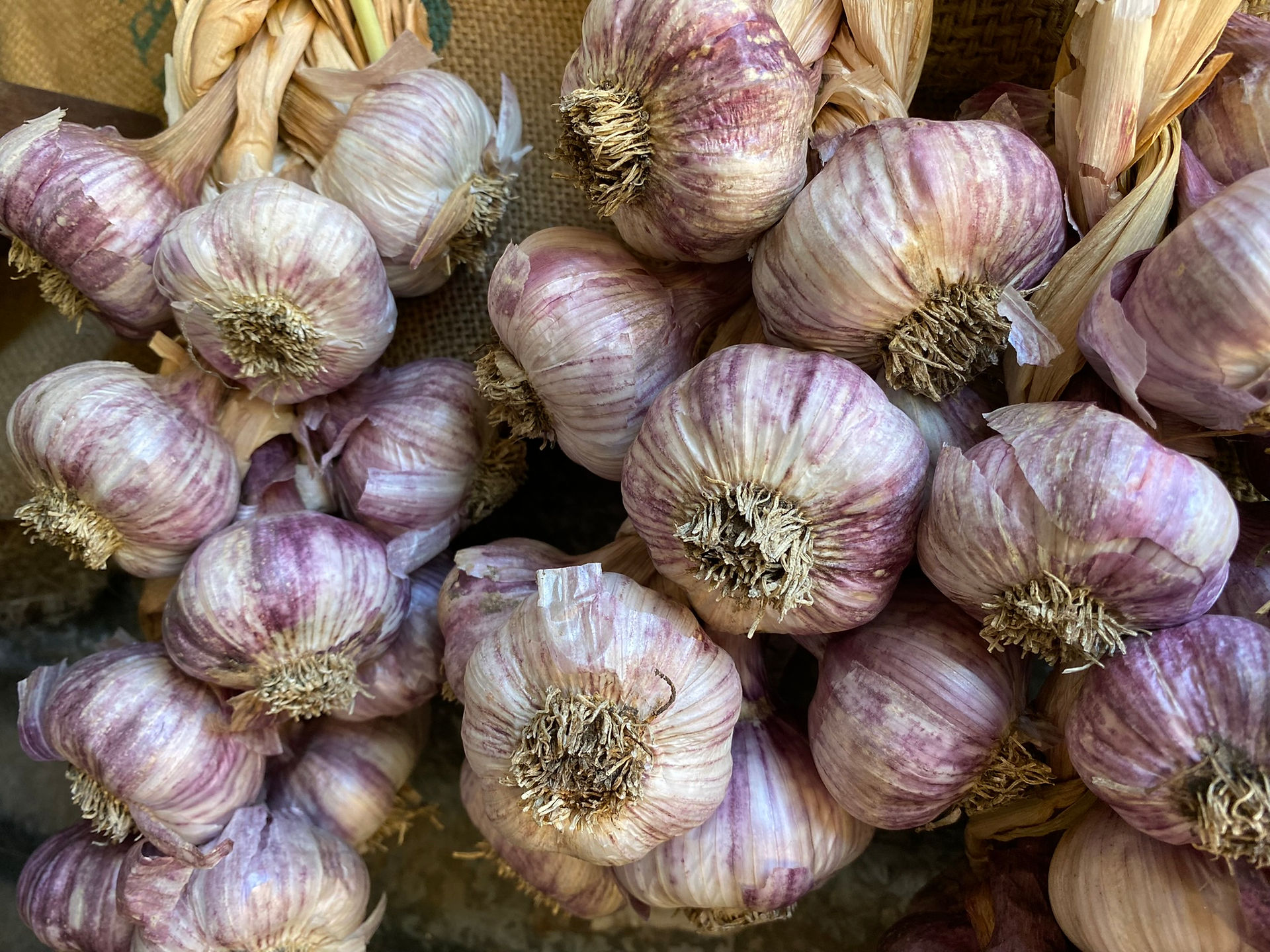 Spray-free garlic