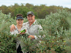 A GLIMPSE INTO BOUTIQUE FARMING IN THE SOUTHERN FORESTS AT ASH LANE ESTATE