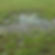 Wet Soil.png