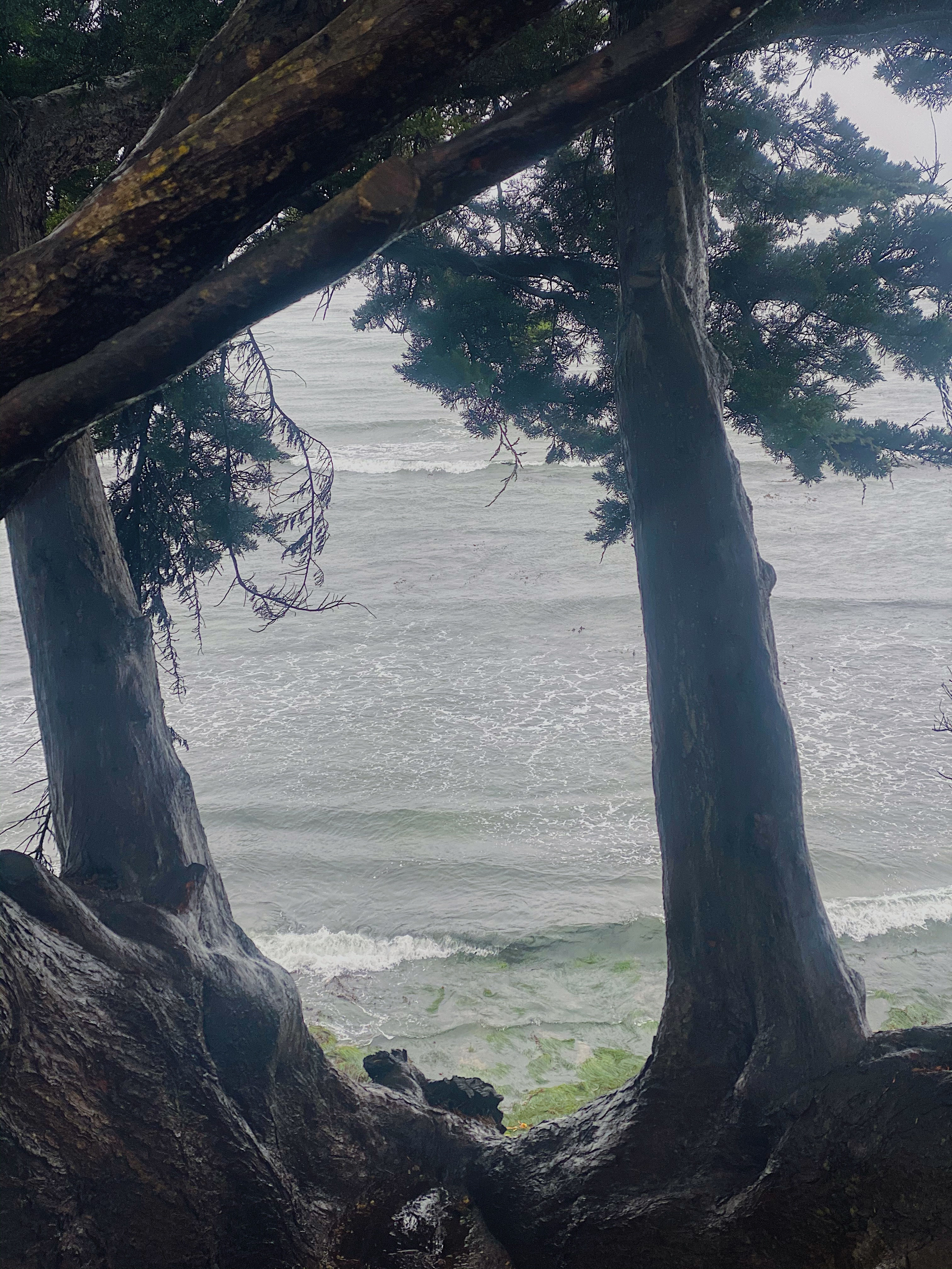 Calm before the storm