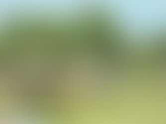 연천군 중면 삼곶리 두루미그린빌리지 펜션 개장