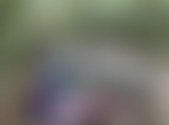 도봉구, 초안산 잣나무 숲 ‘도시숲 건강여행’에서 힐링하세요~