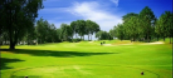 골프장 불법 운영 실태, 방치된 문제들