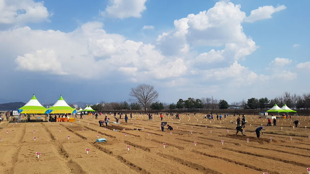 파주시, 2018년 파주희망농장 개장!