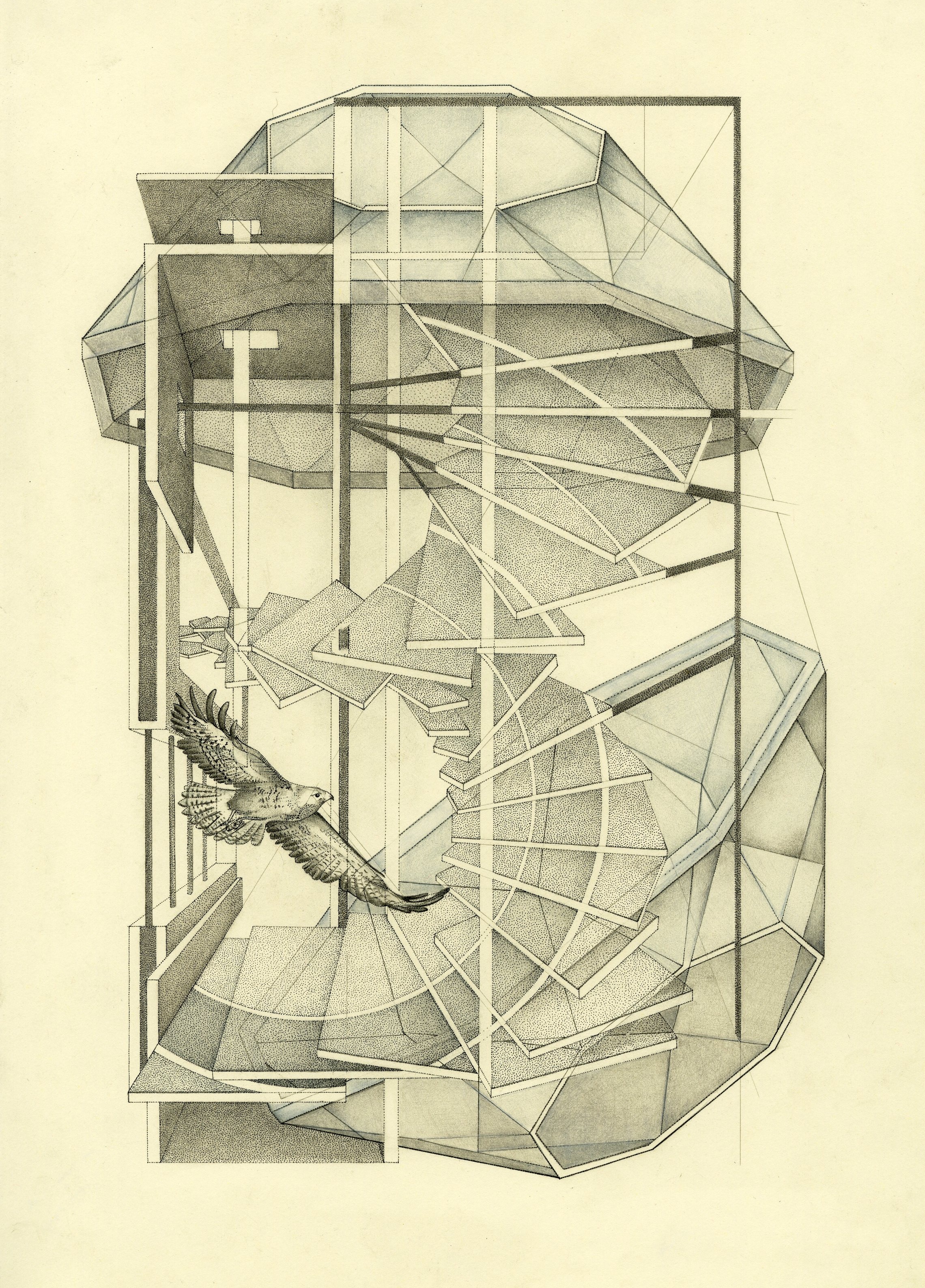 postcardWOSfalcon013