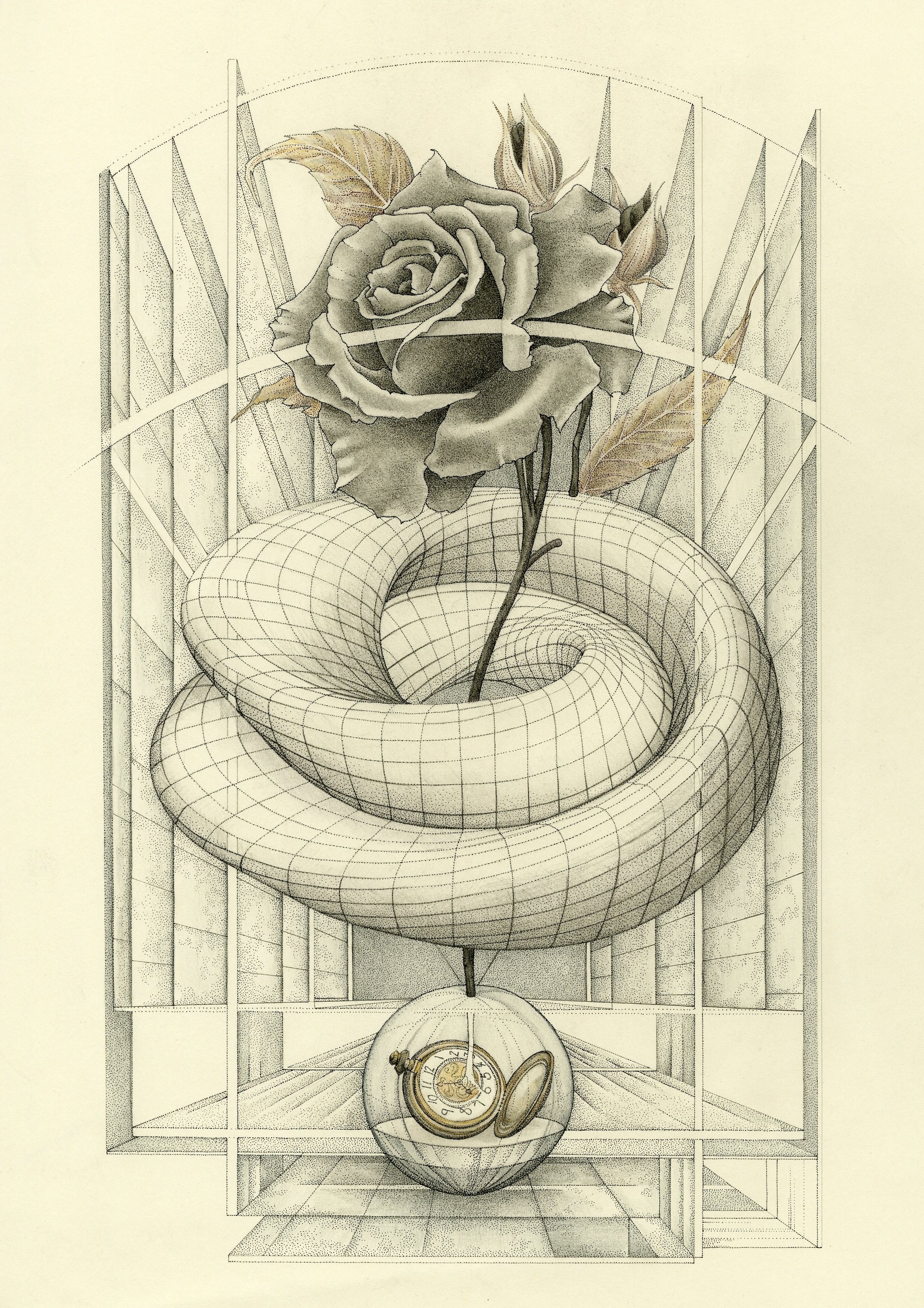 postcardWOSrose006
