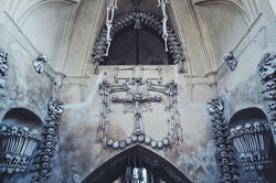Bones