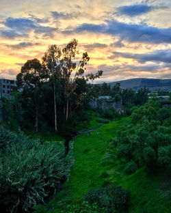 Sunset