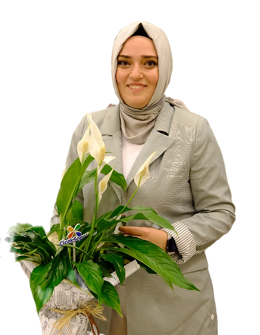 psikolog hande ilbilgi