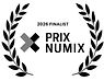 Palm NUMIX.jpg