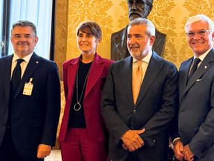 Incontro Zaffini e Professioni Sanitarie: Analisi e Prospettive delle Riforme in Atto