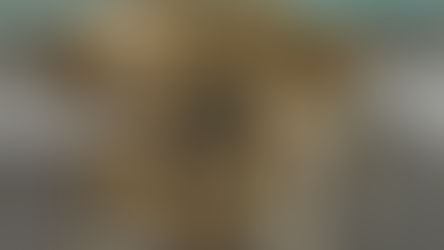 What Sets LUXE Jewelry & Watch Collection Apart in the World of Anniversary Jewelry