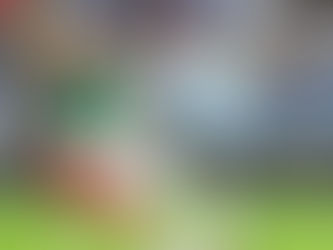 The World Cup - Shocks all over