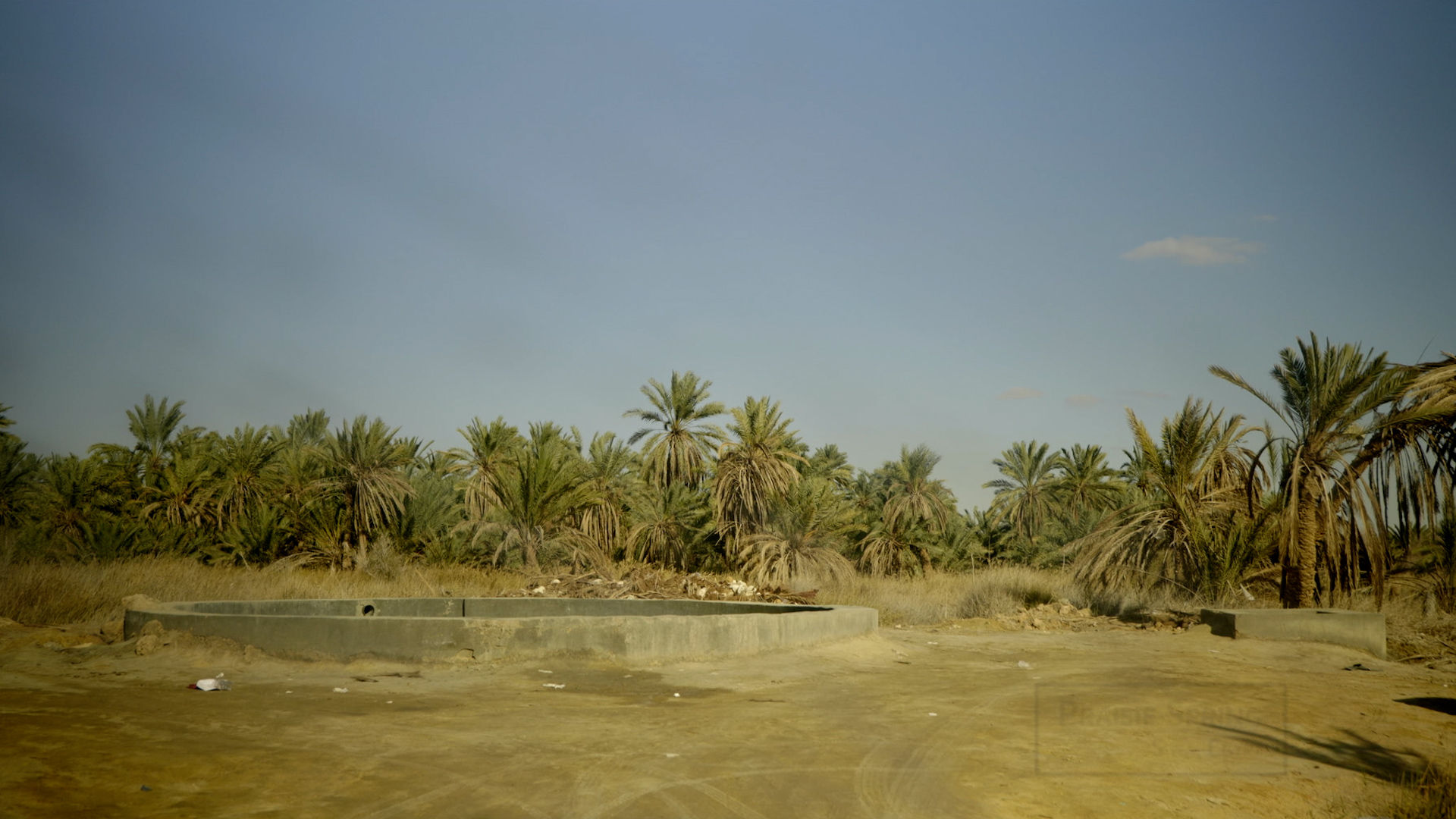 Locally known Praisie Spring in  the Sahara Desert of the Siwa Oasis in Egypt.