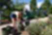 _Denver Gardening_EarthLinks Garden_
