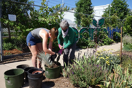 _Denver Gardening_EarthLinks Garden_