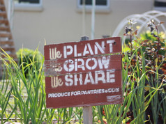 Wooden sign in garden that says _We PLANT We GROW We SHARE.jpeg