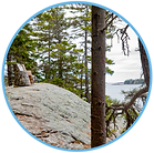porterbench-circle.png