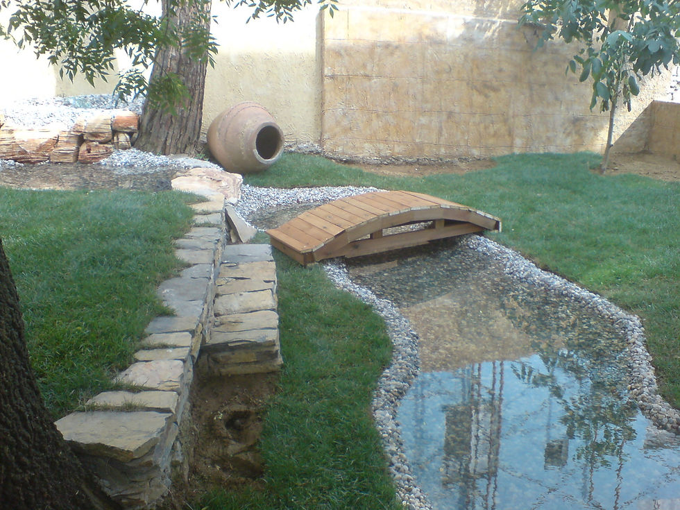 PEYZAJ DÜZENLEMESİ