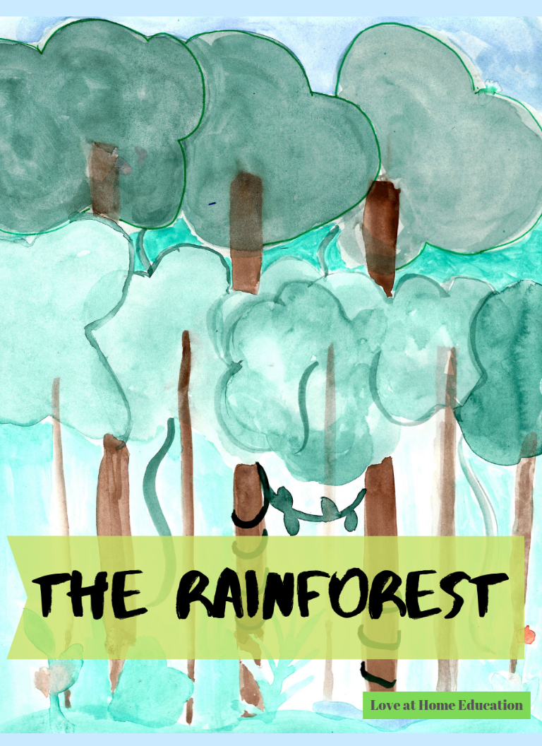 Biomes of the World: The Rainforest