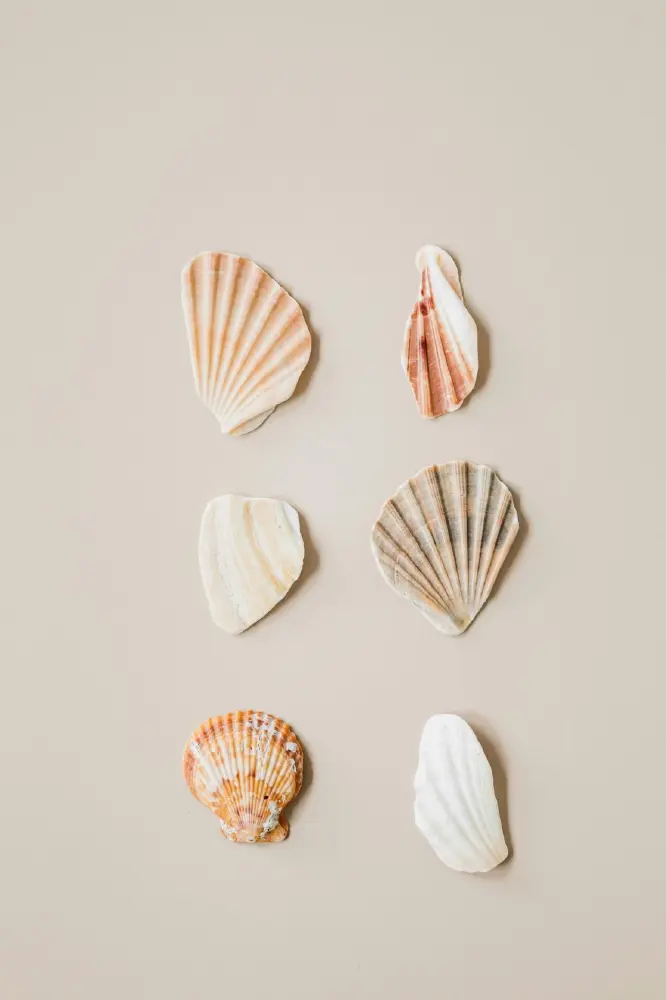 sandy colors