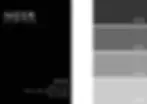 Noir, color palette for interior design store , designed by Les Marteau Studio, New York.