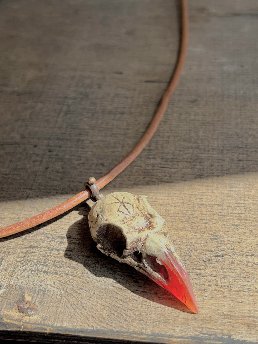 Thumbnail: raven skull necklace bone and red carnelian resin art